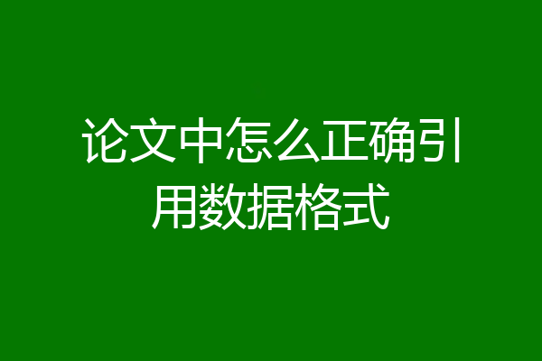 论文中怎么正确引用数据格式