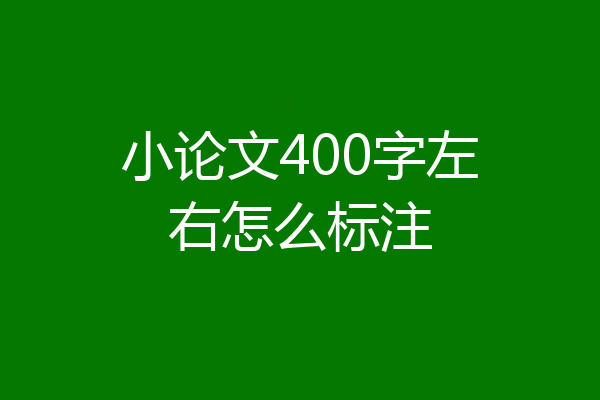 小论文400字左右怎么标注