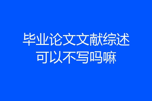 毕业论文文献综述可以不写吗嘛