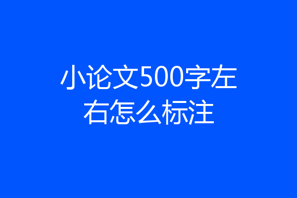 小论文500字左右怎么标注