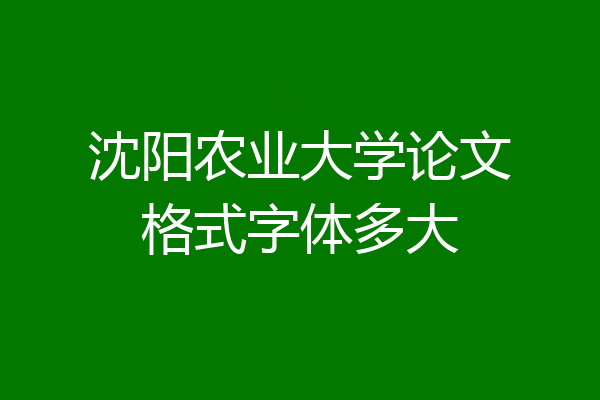 沈阳农业大学论文格式字体多大