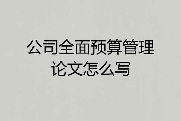 公司全面预算管理论文怎么写