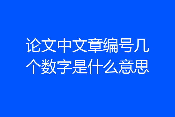 论文中文章编号几个数字是什么意思