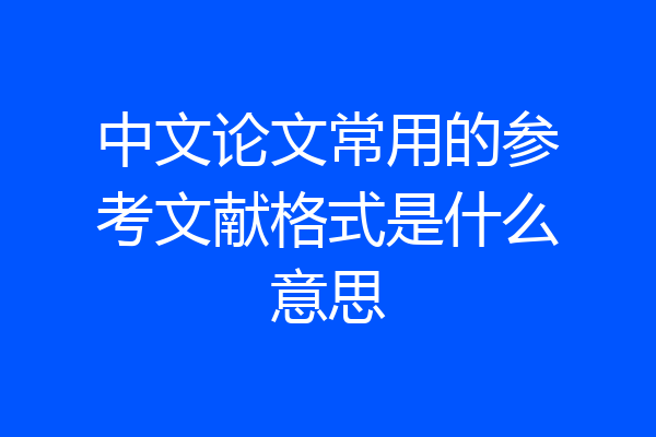 中文论文常用的参考文献格式是什么意思