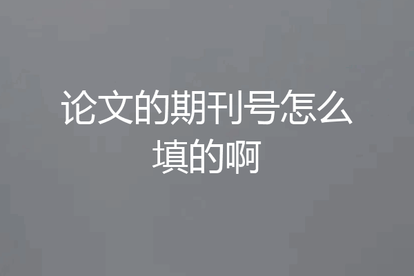 论文的期刊号怎么填的啊