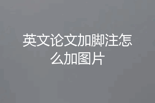 英文论文加脚注怎么加图片