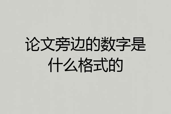 论文旁边的数字是什么格式的