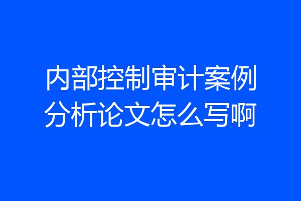 内部控制审计案例分析论文怎么写啊