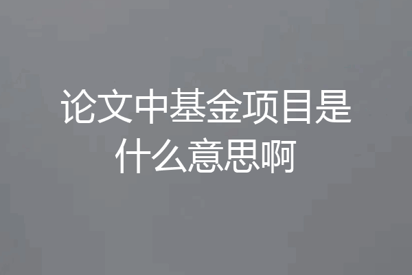 论文中基金项目是什么意思啊