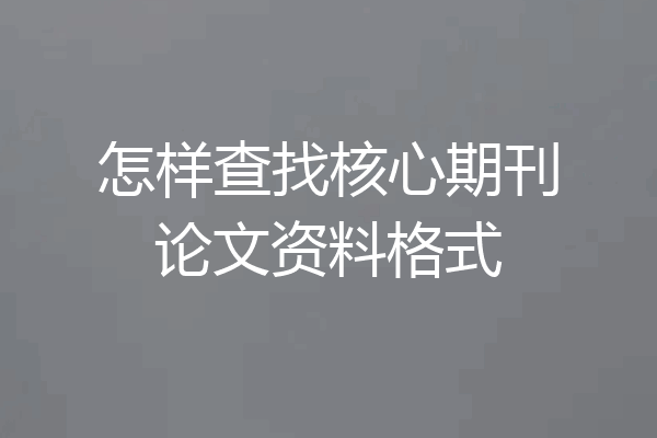 怎样查找核心期刊论文资料格式