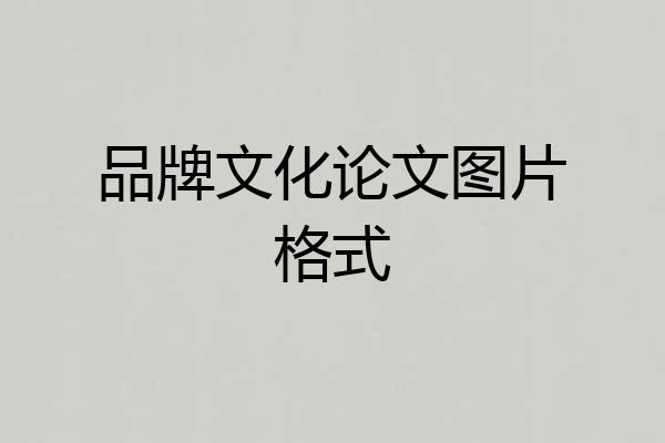 品牌文化论文图片格式