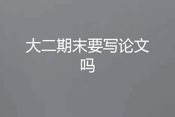 大二期末要写论文吗