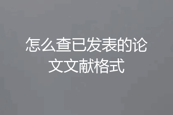 怎么查已发表的论文文献格式