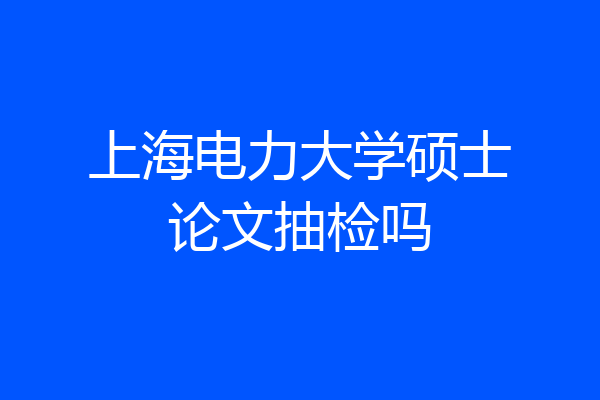 上海电力大学硕士论文抽检吗