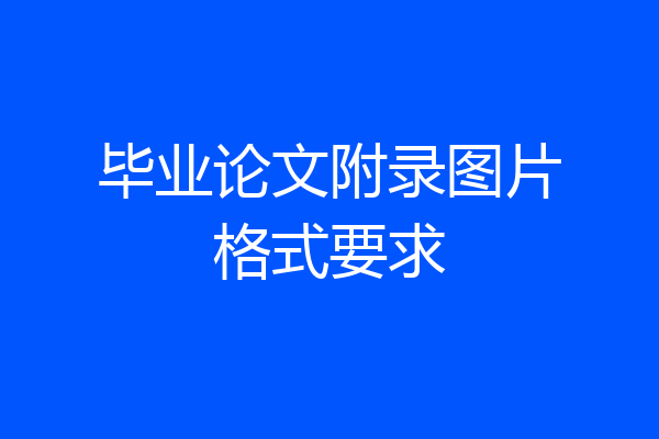 毕业论文附录图片格式要求