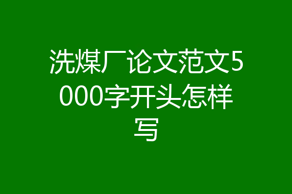 洗煤厂论文范文5000字开头怎样写