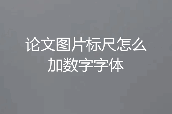 论文图片标尺怎么加数字字体