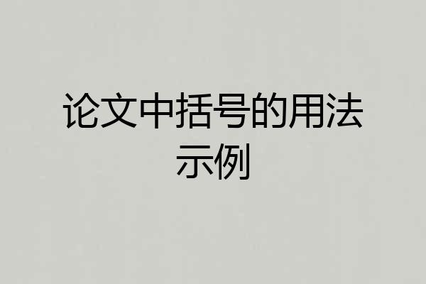 论文中括号的用法示例