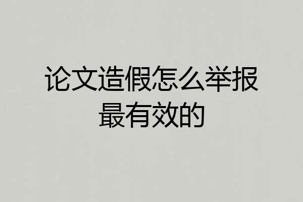 论文造假怎么举报最有效的