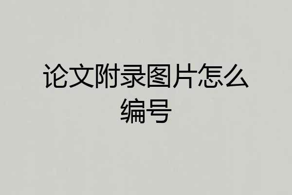 论文附录图片怎么编号