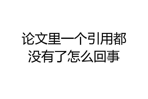 论文里一个引用都没有了怎么回事