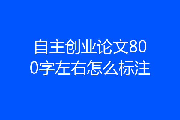 自主创业论文800字左右怎么标注