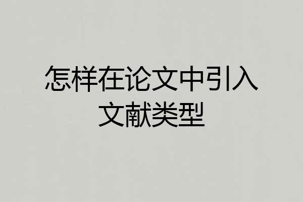 怎样在论文中引入文献类型
