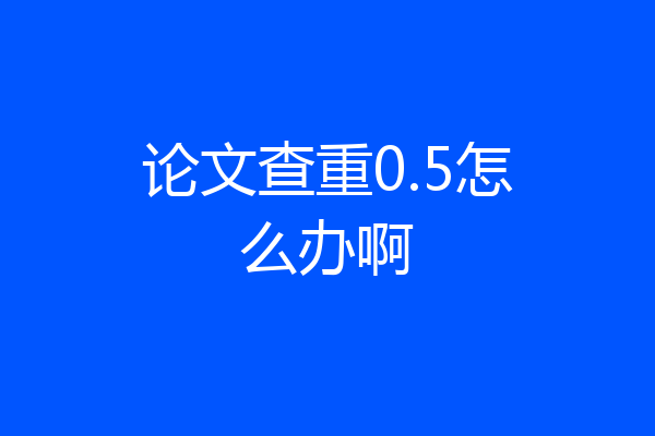 论文查重0.5怎么办啊