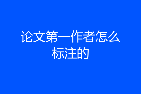 论文第一作者怎么标注的