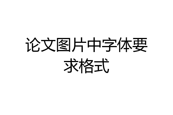 论文图片中字体要求格式