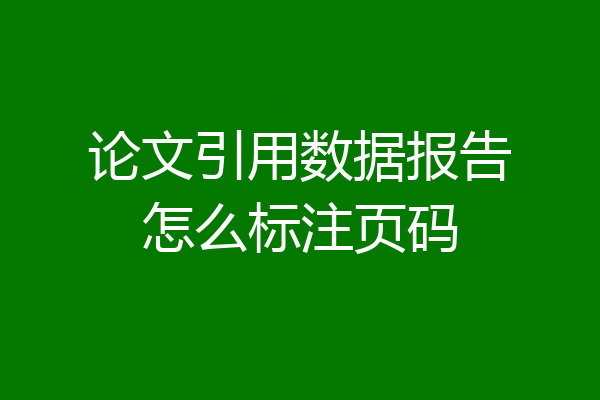 论文引用数据报告怎么标注页码