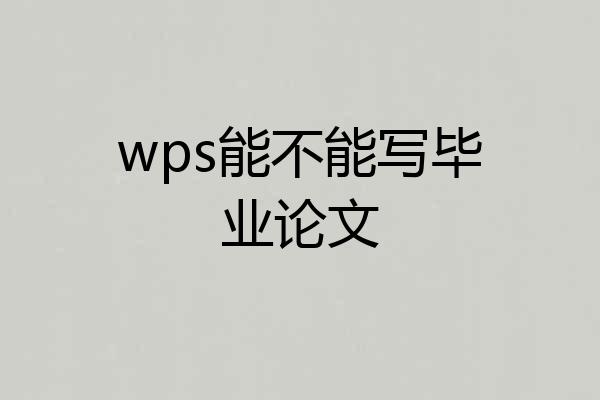 wps能不能写毕业论文