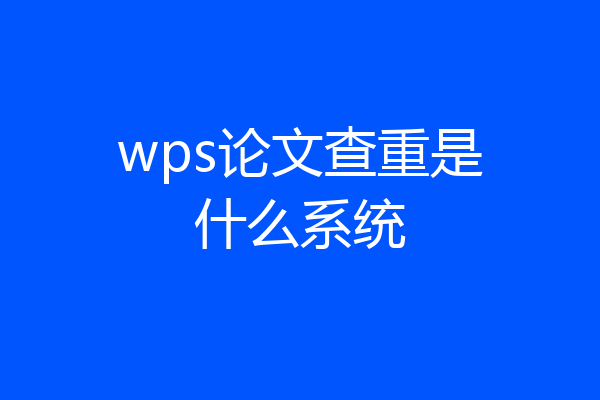 wps论文查重是什么系统