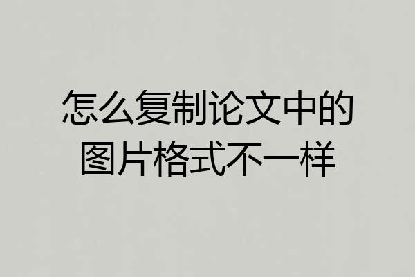 怎么复制论文中的图片格式不一样