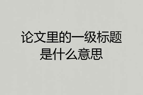 论文里的一级标题是什么意思
