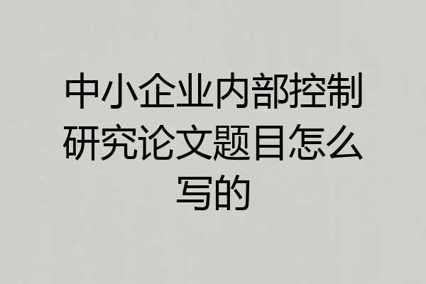 中小企业内部控制研究论文题目怎么写的