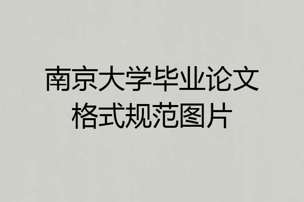 南京大学毕业论文格式规范图片
