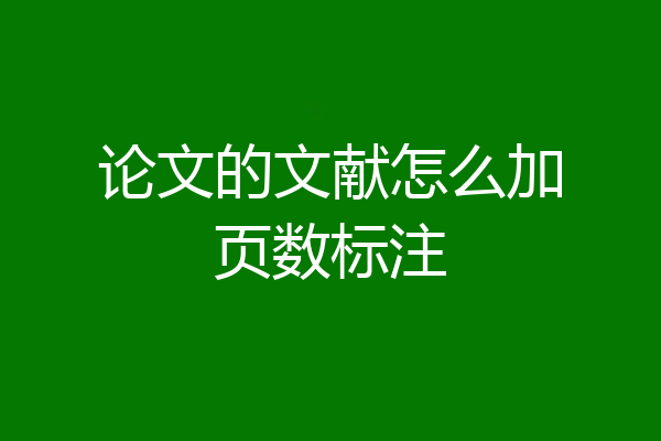 论文的文献怎么加页数标注
