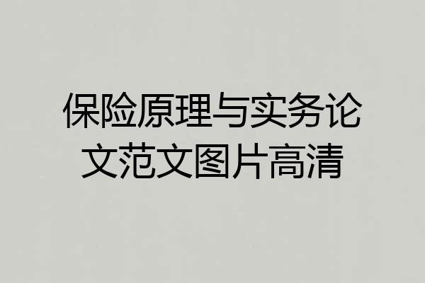 保险原理与实务论文范文图片高清