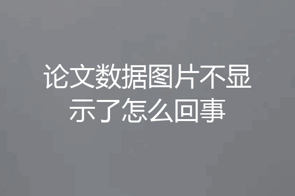 论文数据图片不显示了怎么回事
