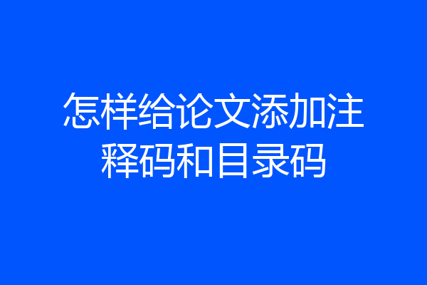 怎样给论文添加注释码和目录码