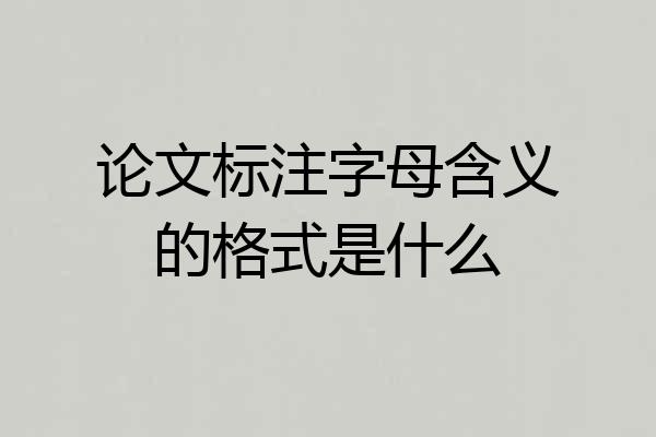 论文标注字母含义的格式是什么