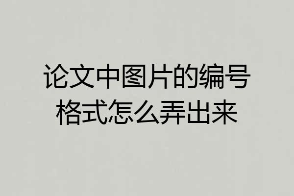 论文中图片的编号格式怎么弄出来