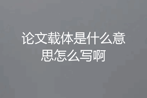 论文载体是什么意思怎么写啊