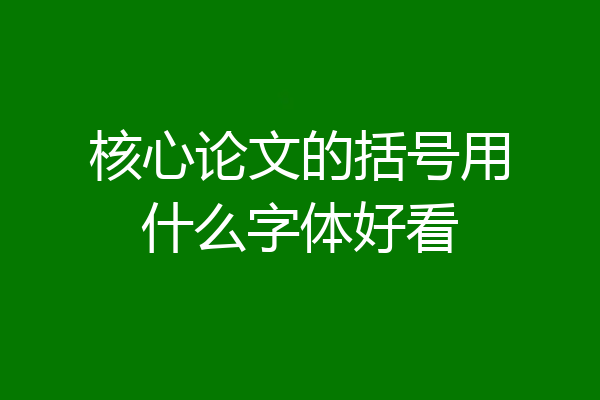 核心论文的括号用什么字体好看