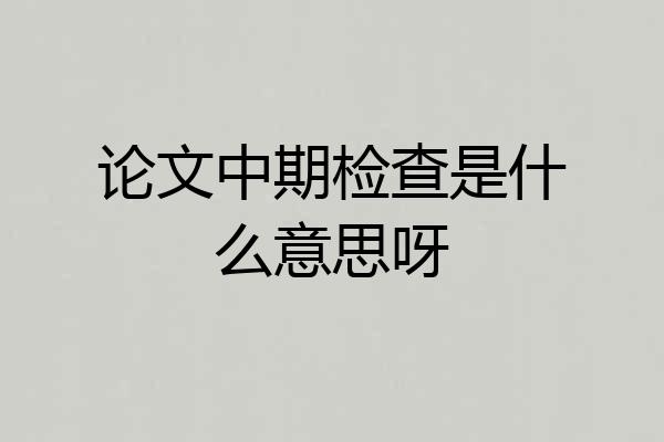 论文中期检查是什么意思呀