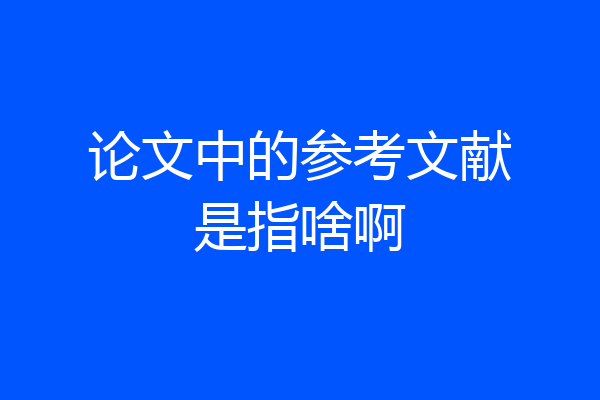 论文中的参考文献是指啥啊