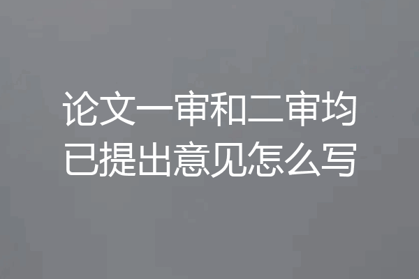 论文一审和二审均已提出意见怎么写