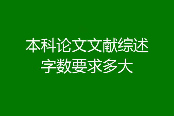 本科论文文献综述字数要求多大