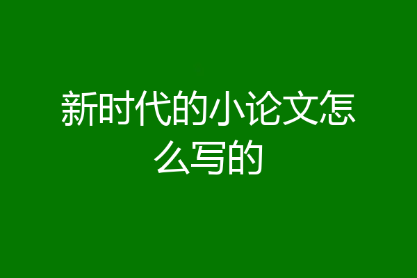 新时代的小论文怎么写的